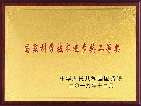 國家科學(xué)技術(shù)進(jìn)步獎(jiǎng)二等獎(jiǎng)2019年